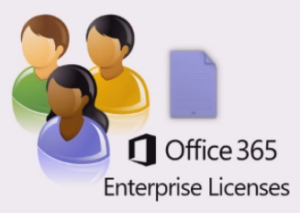 Usuarios Office Enterprise Licenses